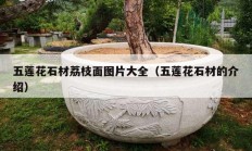 五蓮花石材荔枝面圖片大全（五蓮花石材的介紹）