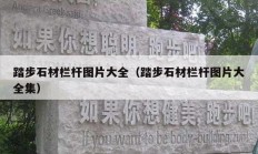 踏步石材欄桿圖片大全（踏步石材欄桿圖片大全集）